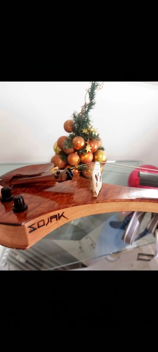 Violín Eléctrico bajada precio urge vender