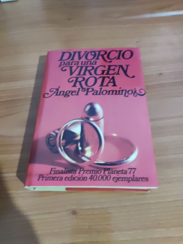 Libro divorcio para una virgen rota