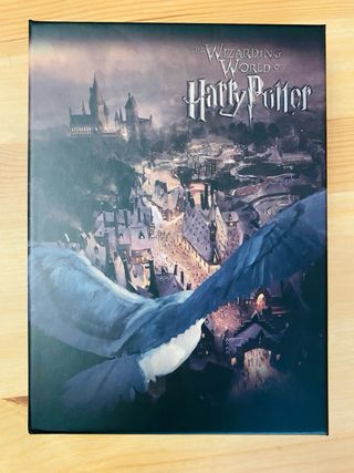 Pluma estilográfica de Harry Potter