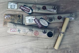 Pluma estilográfica de Harry Potter