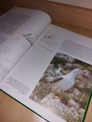 LIBRO - Fauna ibérica Félix Rodríguez de la Fuente