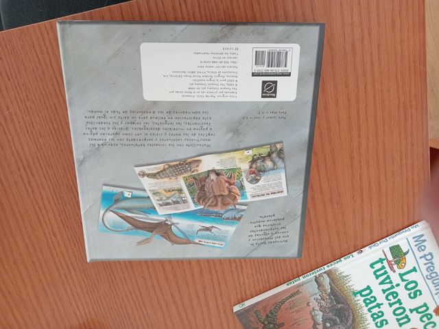 Libro dinosaurios desplegable