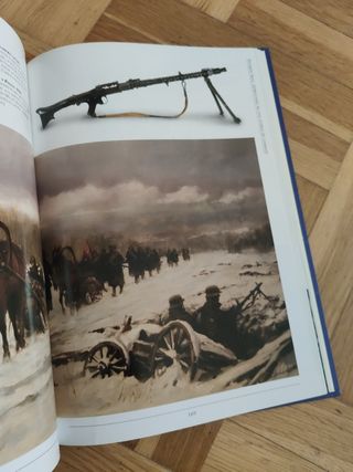 División Azul. Estructura fuerza combate