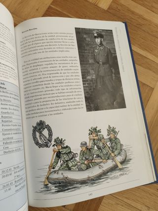 División Azul. Estructura fuerza combate