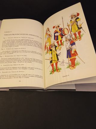 Andalucía y sus milicias