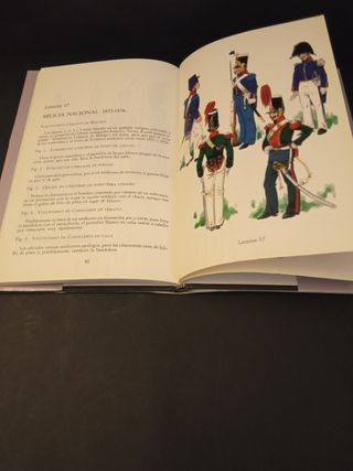 Andalucía y sus milicias