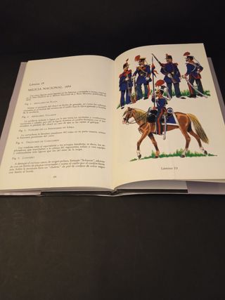 Andalucía y sus milicias