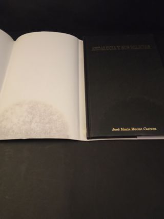 Andalucía y sus milicias