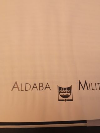 Andalucía y sus milicias