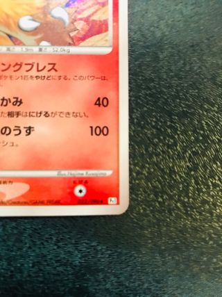 Blaziken 1ed HOLO Gal Conq - Cartas Pokemon