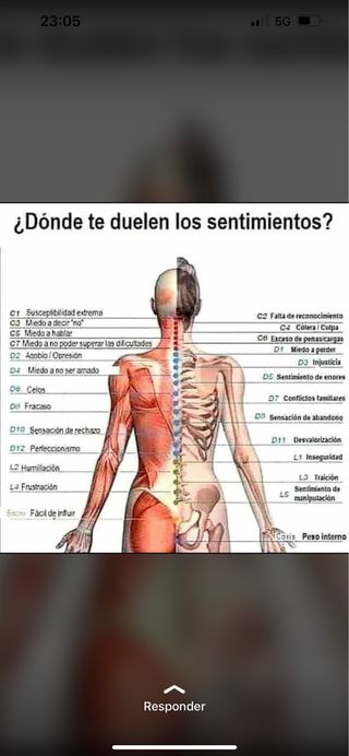 Terapias, Masaje,Reiki,Shiatsu,Sotai.