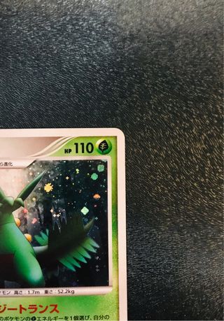 Sceptile 1ed HOLO IFDS - Cartas Pokemon