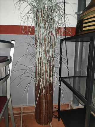 Lampara 