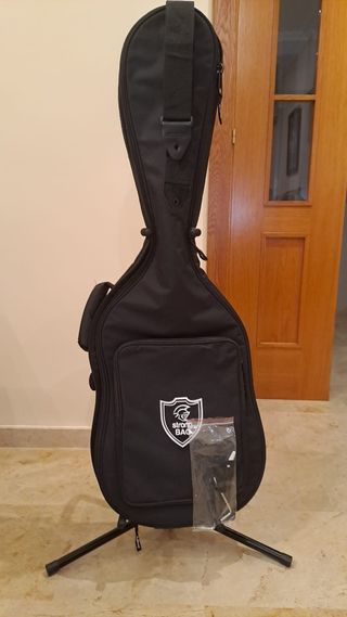 Guitarra ASHTON tipo STRATO.