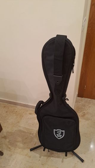 Guitarra ASHTON tipo STRATO.