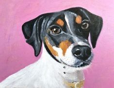 Pinto tu mascota al óleo.