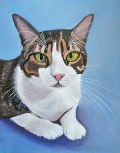 Pinto tu mascota al óleo.