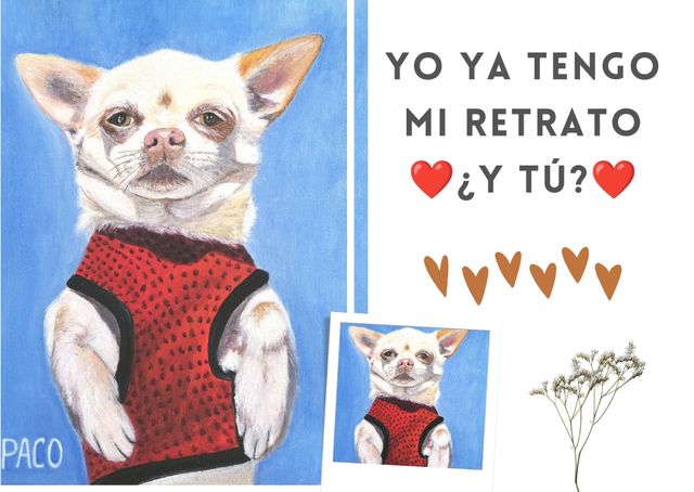 Pinto tu mascota al óleo.