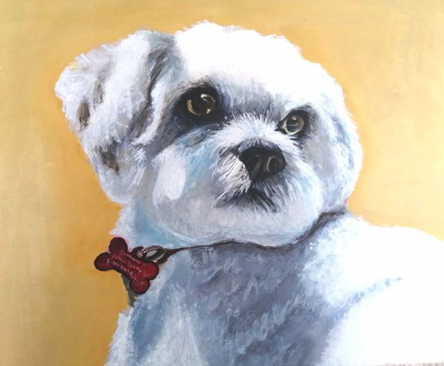 Pinto tu mascota al óleo.