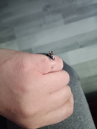 Anillos variados ajustables