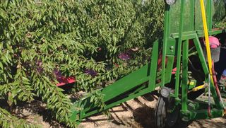 Recolector de fruto Elektronik