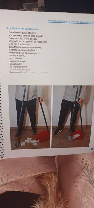 Temario personal de limpieza y S.Domesti