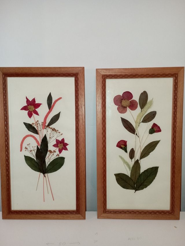 Cuadros Flores