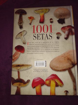 Libro 1001 setas