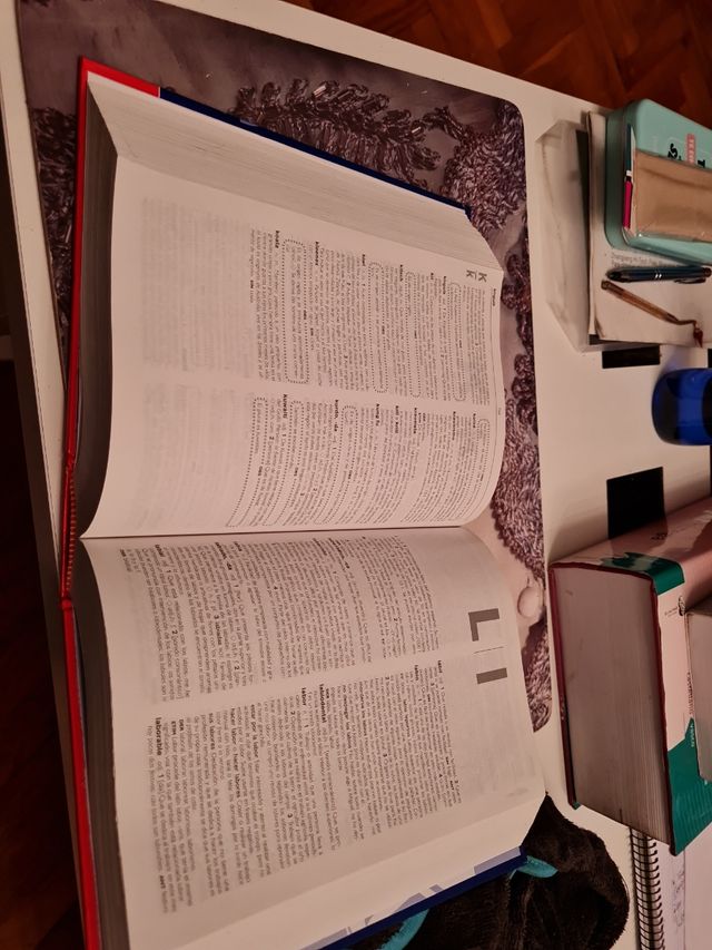 Diccionario secundaria y bachillerato