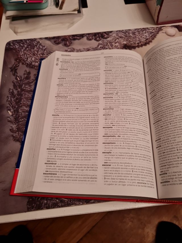 Diccionario secundaria y bachillerato