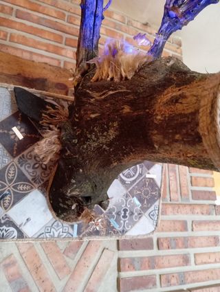 Cabeza de ciervo artesanal