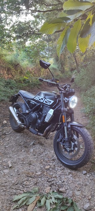 Brixton crossfire 500 X trail A2 scrambler