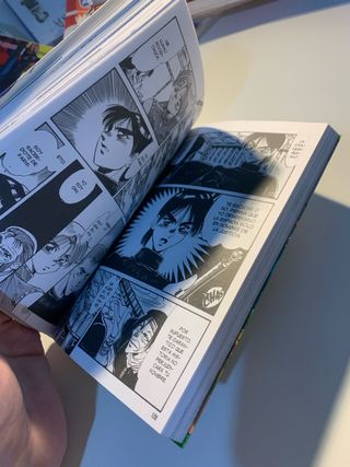 La Bruja Gris manga tomo 1