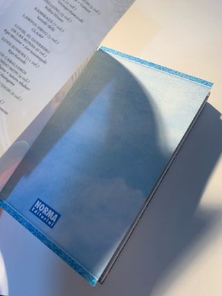 La Bruja Gris manga tomo 1