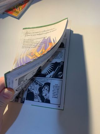 La Bruja Gris manga tomo 1