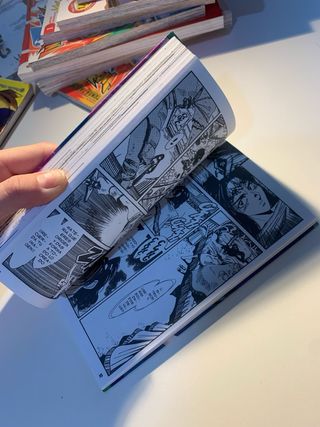 La Bruja Gris manga tomo 2