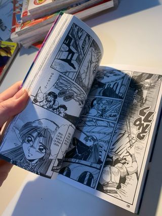 La Bruja Gris manga tomo 2