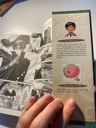 La Bruja Gris manga tomo 2