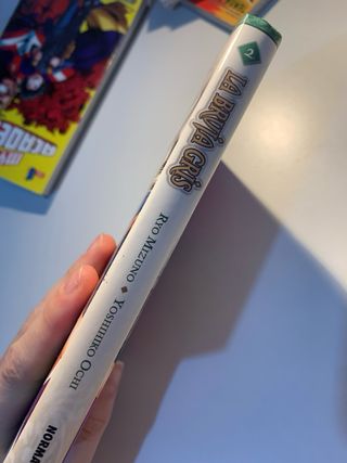 La Bruja Gris manga tomo 2