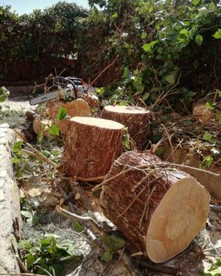 Jardinero economíco