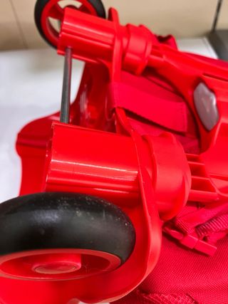 michila con carrito de seleccion espańola