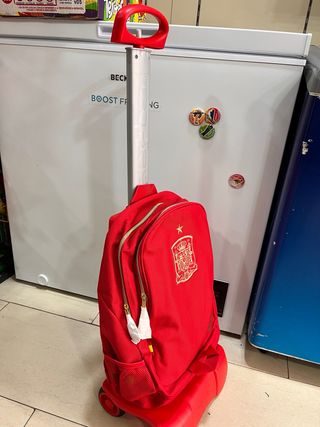 michila con carrito de seleccion espańola