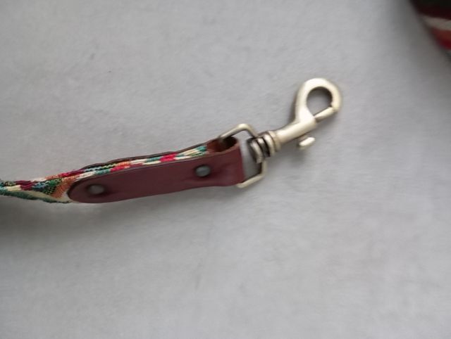 Correa de cuero con arnés rojo para perro.