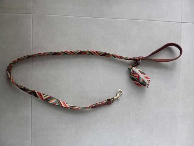 Correa de cuero con arnés rojo para perro.