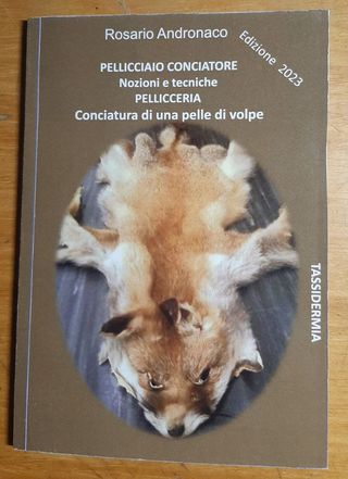 Pellicciaio, conciatura di una pelle di volpe