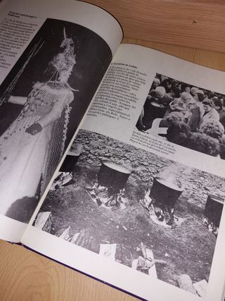 LLIBRE - Festes populars a Catalunya - CATALÀ