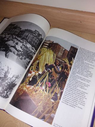 LLIBRE - Festes populars a Catalunya - CATALÀ