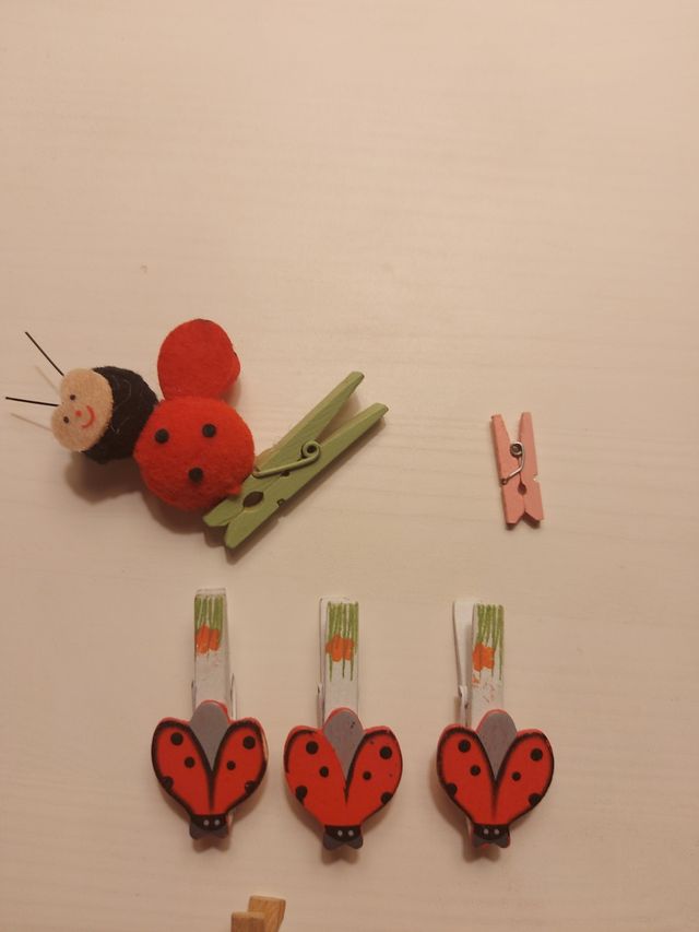 12 mollette per decorazioni