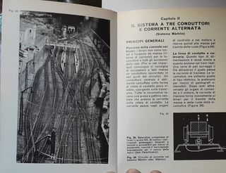 Libro collana "piccole guide Mondadori" Treni mini