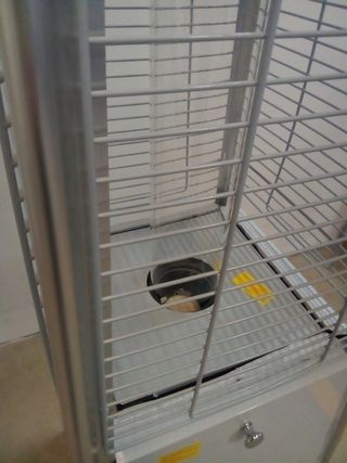 Estufa Terraza Pirámide. Hostelería